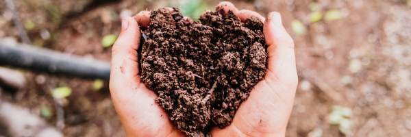 Hands holding fertile dirt in the shape of a heart