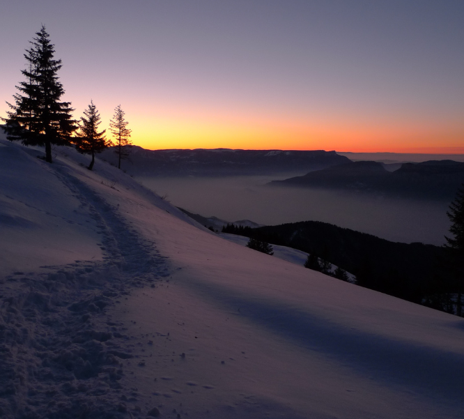 Snowy landscape at sunset