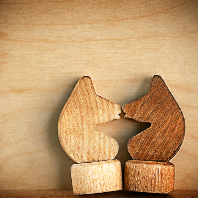 Two wooden horse chess pieces facing each other