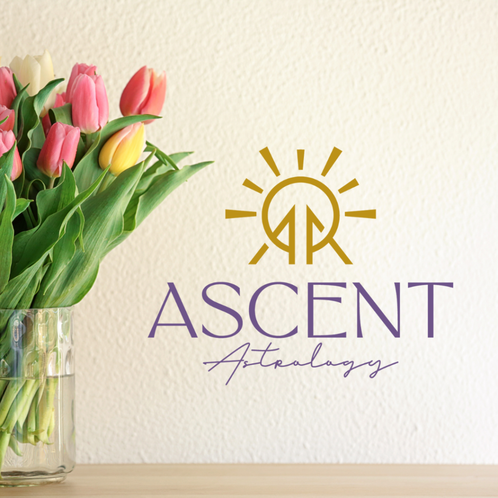 Vase of spring tulips with Ascent Astrology sunrise logo
