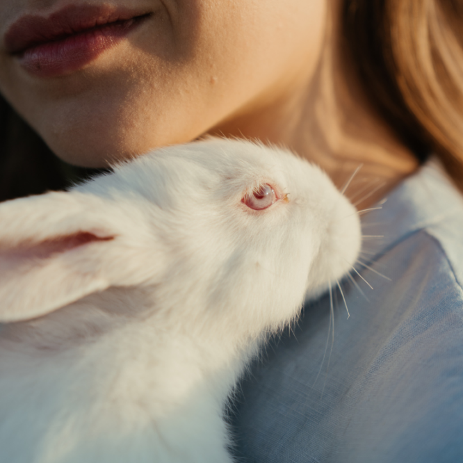 Image of girl's face close up with a white rabbit like Alice in Wonderland