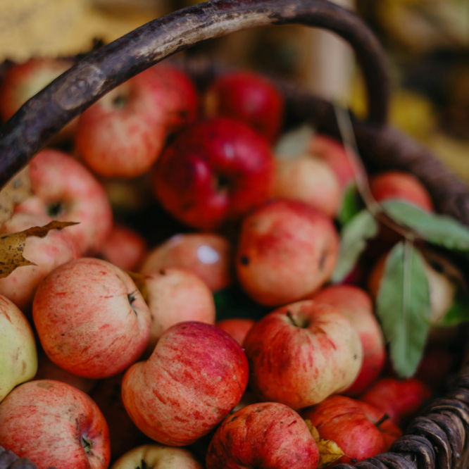 basket of red apples